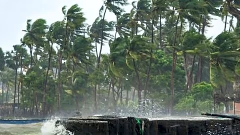 Cyclone Arnab: Andhra Pradesh allocates ₹27cr dispatches 15 NDRF teams