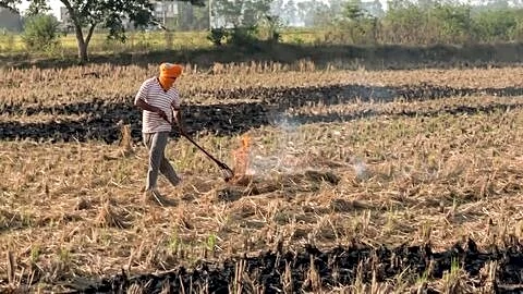Farm fires down 31.3% in 6 northern states this year