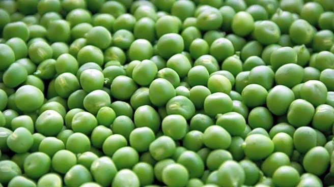 Peas v/s carrots: Comparing their nutrition