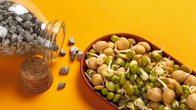 Boost your meals with Mung bean sprouts