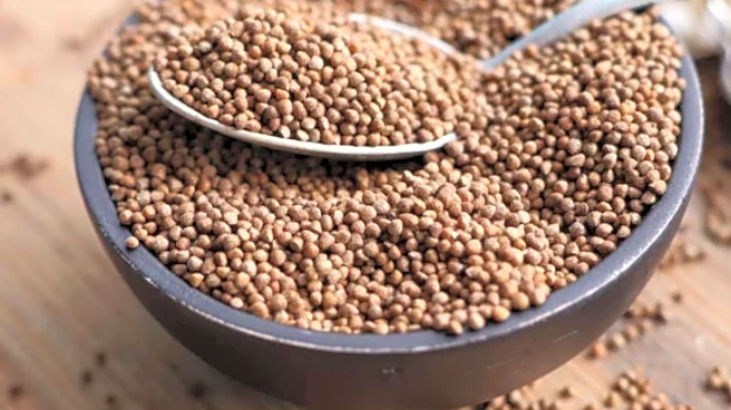 Perilla seeds: The secret superfood for all-day energy