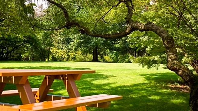 5 must-visit picnic spots in Japan