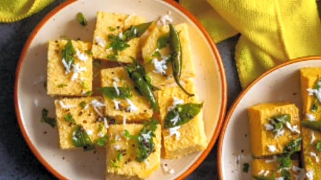 The ultimate guide to India's best dhoklas