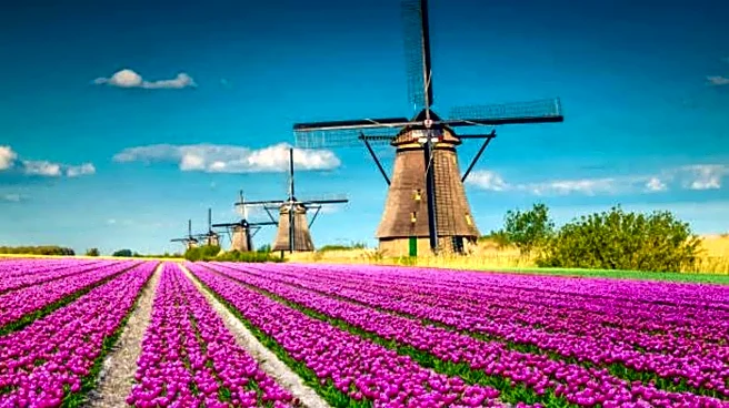 Heading to Netherlands? Add these spots to your itinerary