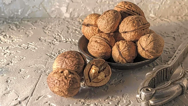 Pine nuts v/s walnuts: Which one is healthier for you?