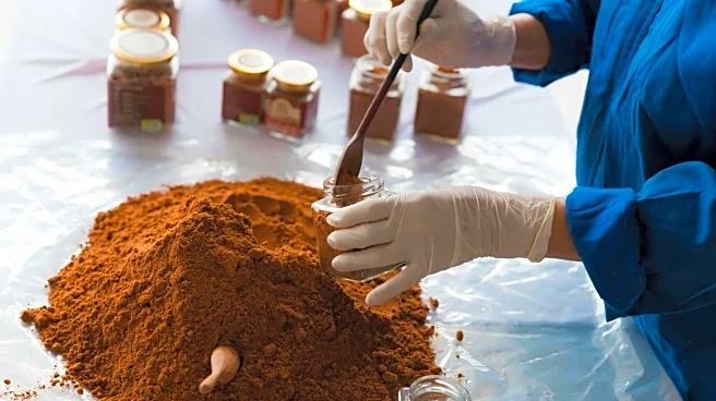 Carob powder: The sweet superfood you're overlooking