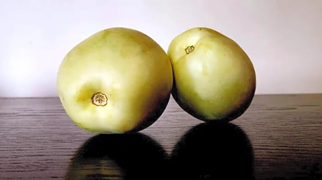 Why sweet cucumber deserves a spot in your diet