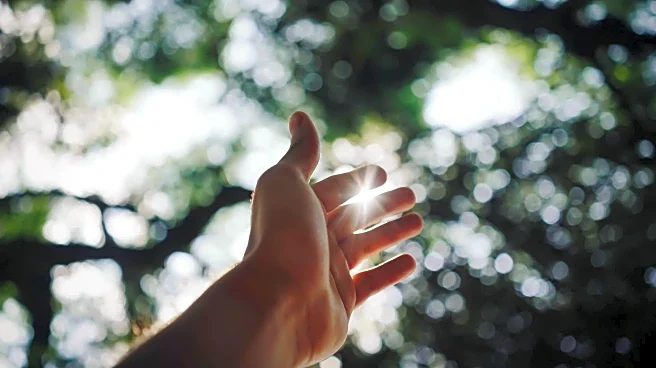 Why morning sunlight is a game-changer