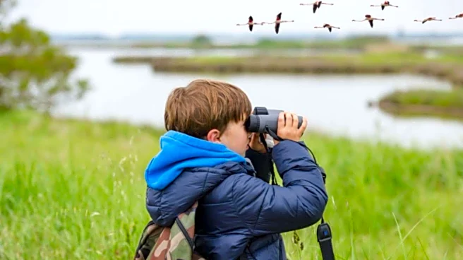 Why birdwatching is the best patience lesson for kids