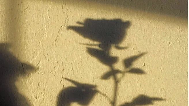 Add drama to your walls with monochrome art magic