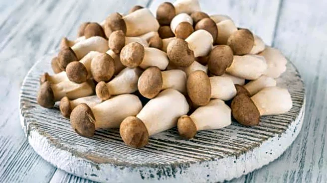 Try these recipes using trumpet mushrooms