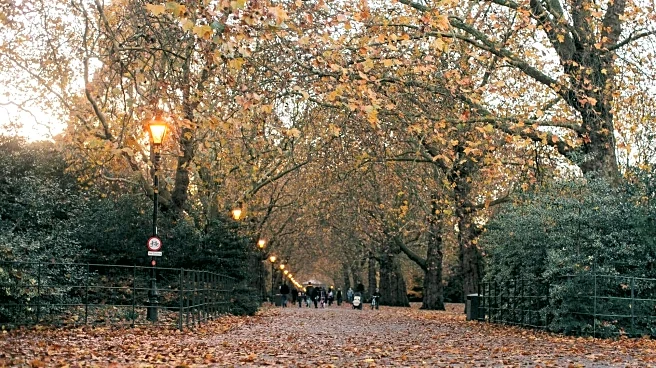 How nature walks can transform your health