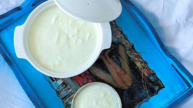 How yogurt went from nomad's snack to global superfood