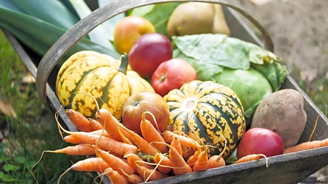 How to add seasonal produce to your diet