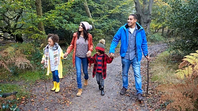 5 simple nature activities to enhance your well-being