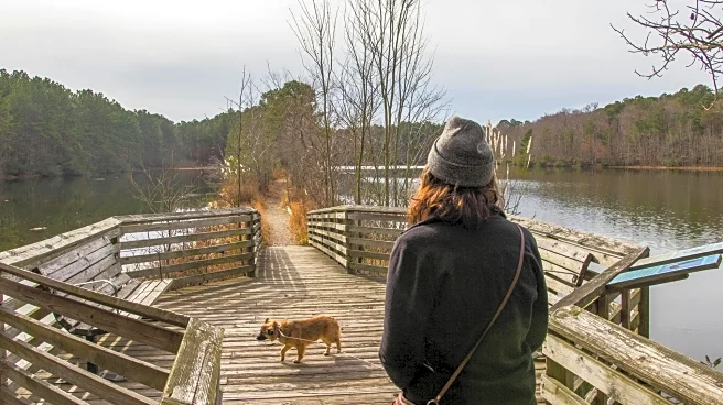 Easy nature trails to refresh your mind and mood