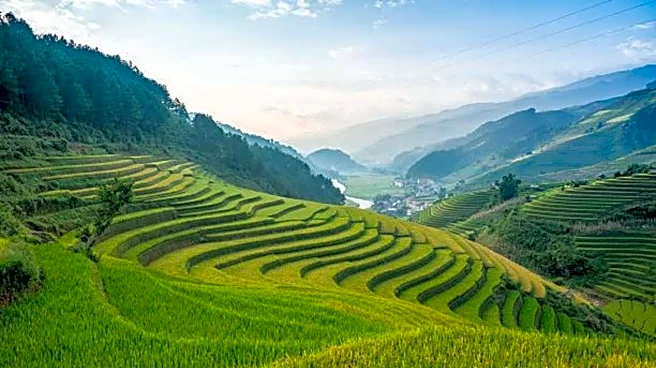 Discover Philippines' most beautiful rice terraces