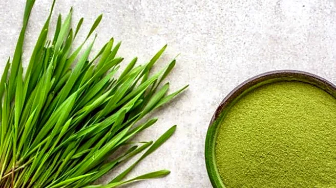 5 amazing health benefits of barley grass
