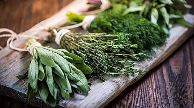 Upgrade your cooking with these Indian herbs