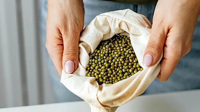 5 African legumes that boost health and promote sustainability