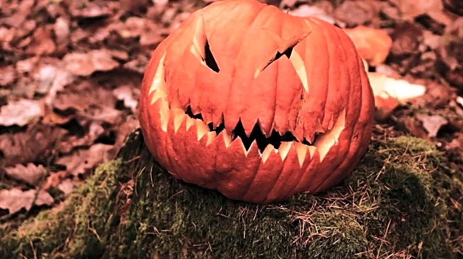 How Peruvian gourd carving keeps centuries-old traditions alive