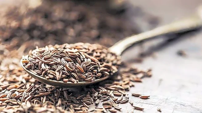 How to use caraway seeds in your dishes