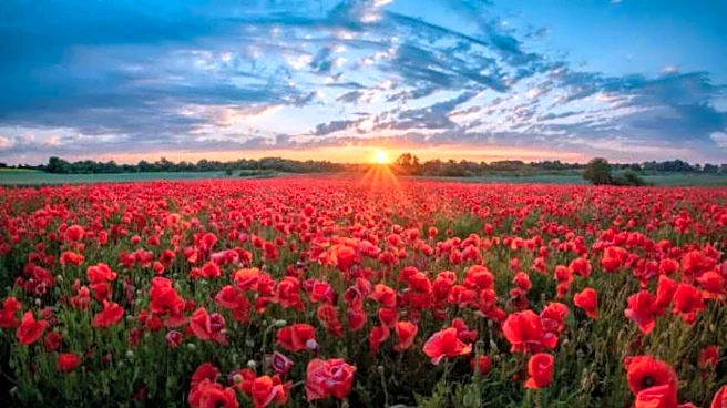 You must visit these flower fields in Hokkaido