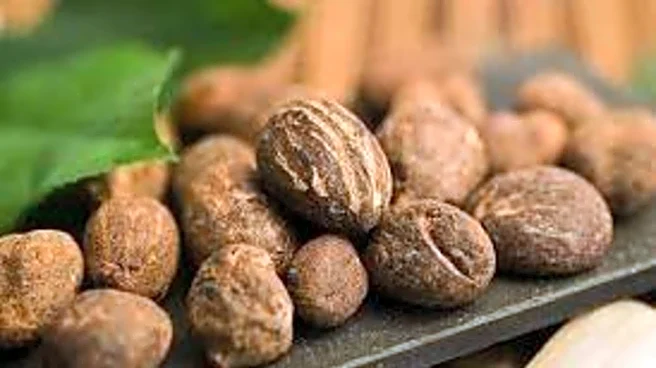 Shea nuts: The superfood you need