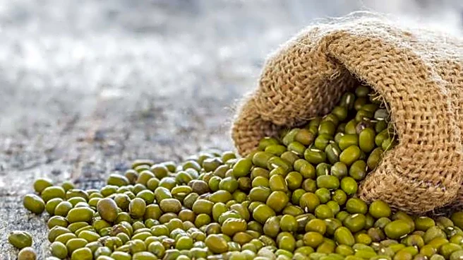 Surprising health benefits of mung beans