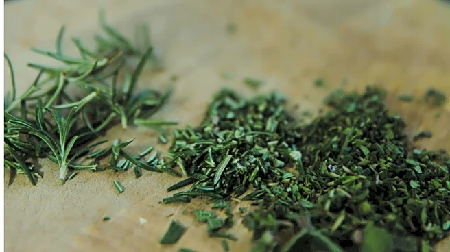 5 herbs that make staying healthy effortless