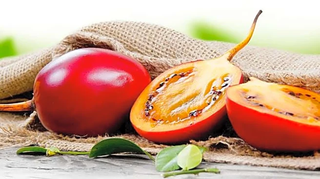 Why tamarillo fruit is a nutritional powerhouse