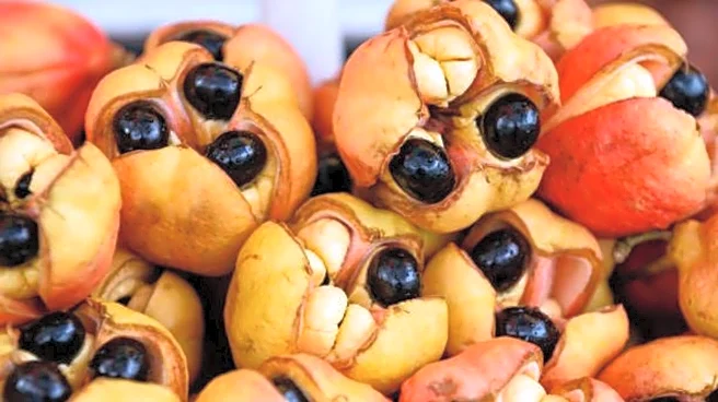 5 health benefits of ackee fruit