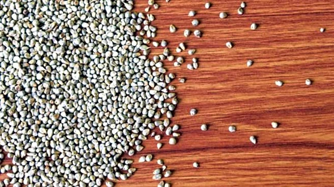 Pearl millet: The superfood for glowing skin