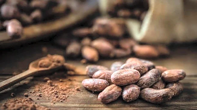 Why cocoa is great for your skin