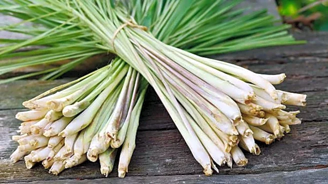 How to use lemongrass in your wellness routine