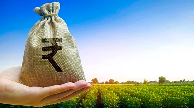 Agricultural loans in India: Types, eligibility criteria, and more