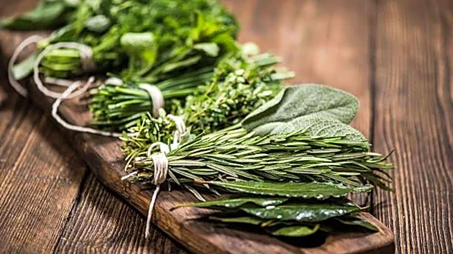 Add bold flavor to your meals with these herbs