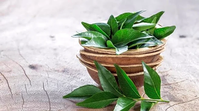 How to use curry leaves in cooking