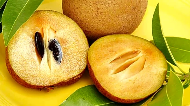 5 sapodilla-based desserts you'll love