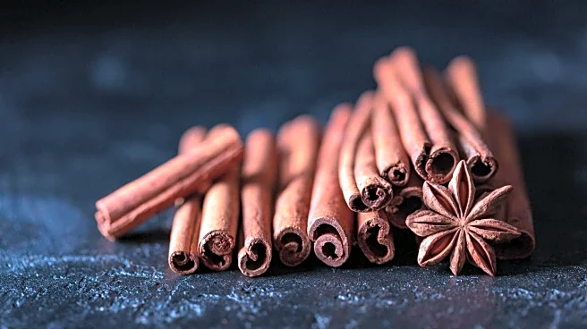 The ultimate guide to Sri Lanka's aromatic spice gardens