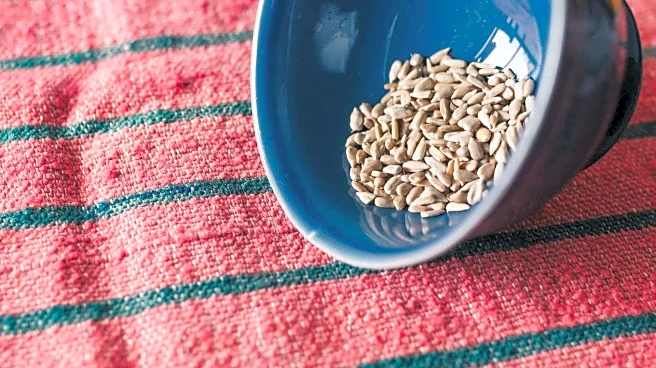 Swap your chips! Sunflower seeds are the snack you need