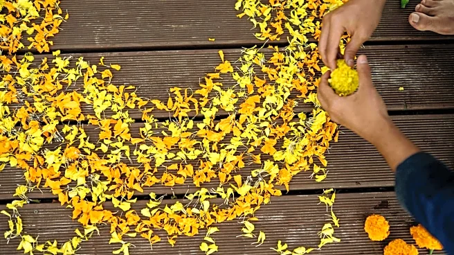 Discover the beauty of Indian floor mandalas