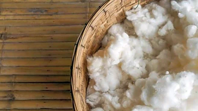 Why you should know about kapok fruit