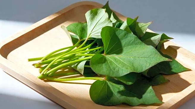 Health benefits of sweet potato greens