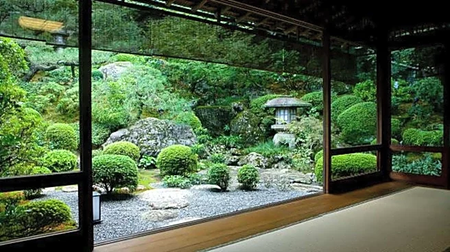 Exploring Tokyo on a budget? Here's where to go