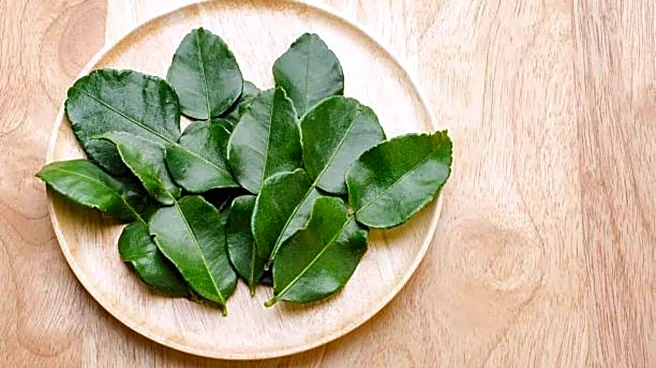 5 health benefits of kaffir lime leaves