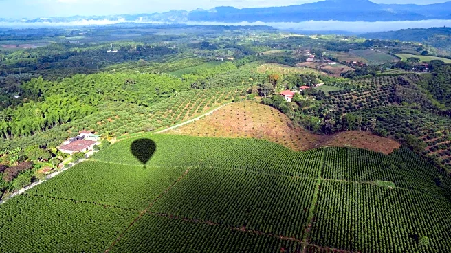 Why Karnataka's coffee plantations are a must-visit for nature lovers