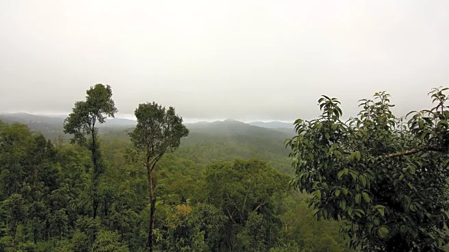 Experience Coorg like a local with this 7-day travel plan