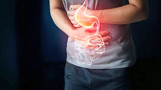 How the combination of fennel and turmeric helps improve digestion