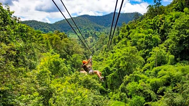 Zip-lining over Entebbe Botanical Gardens: A guide